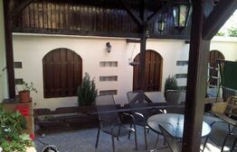 Casă de închiriat, 365mp, zona Tudor Vladimirescu 