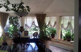 Casă de închiriat, 365mp, zona Tudor Vladimirescu 