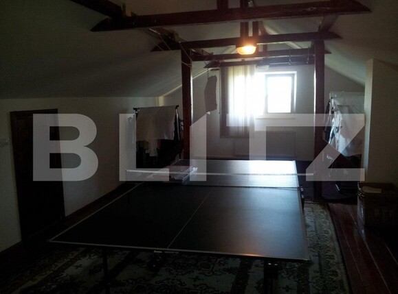 Casa de închiriat 9 camere Tudor Vladimirescu - 111245CI | BLITZ Iași | Poza9