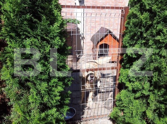 Casa de închiriat 9 camere Tudor Vladimirescu - 111245CI | BLITZ Iași | Poza12