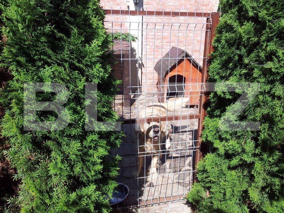 Casa de închiriat 9 camere Tudor Vladimirescu - 111245CI | BLITZ Iași | Poza12