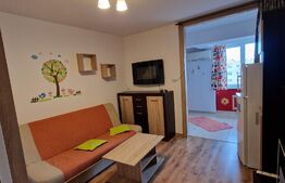 Garsonieră, 26mp, zona Nicolina-Gara