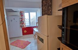 Garsonieră, 26mp, zona Nicolina-Gara