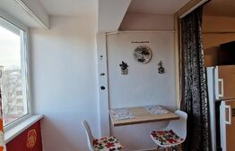Garsonieră, 26mp, zona Nicolina-Gara