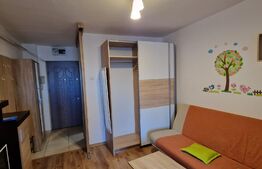 Garsonieră, 26mp, zona Nicolina-Gara