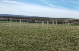 Teren intravilan700 mp Proselnici