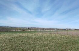 Teren intravilan700 mp Proselnici