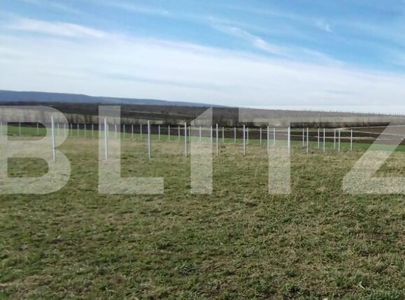 Teren de vânzare Proselnici - 111380TV | BLITZ Iași | Poza1