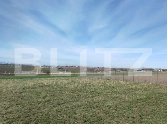 Teren de vânzare Proselnici - 111380TV | BLITZ Iași | Poza2