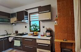 Casa cu 5 camere, 170mp, 700 mp de teren, Lunca Cetatui