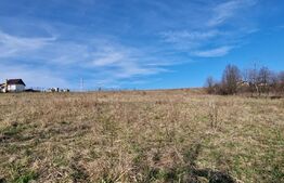 Teren intravilan, 10000 mp, parcelabil, zona Paun