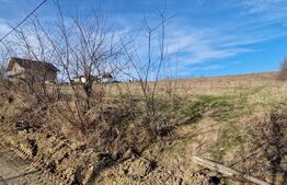 Teren intravilan, 10000 mp, parcelabil, zona Paun