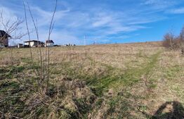 Teren intravilan, 10000 mp, parcelabil, zona Paun