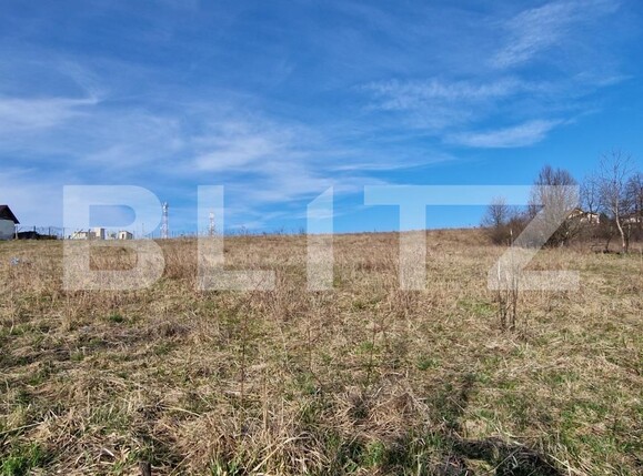 Teren de vânzare Sud-Est - 111483TV | BLITZ Iași | Poza2