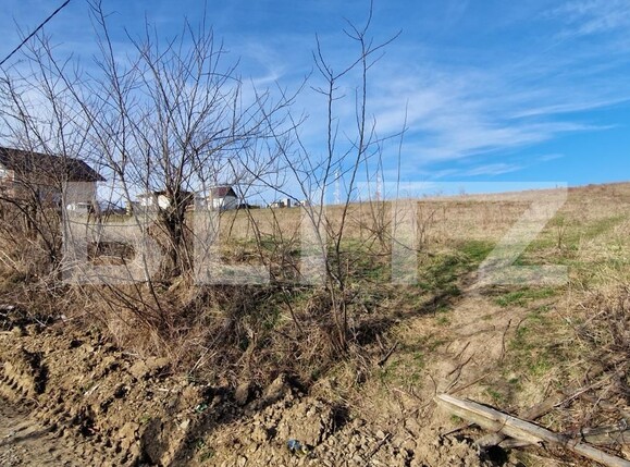 Teren de vânzare Sud-Est - 111483TV | BLITZ Iași | Poza3