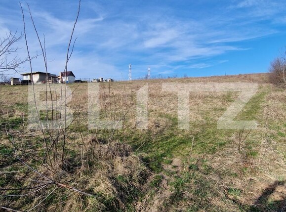 Teren de vânzare Sud-Est - 111483TV | BLITZ Iași | Poza1