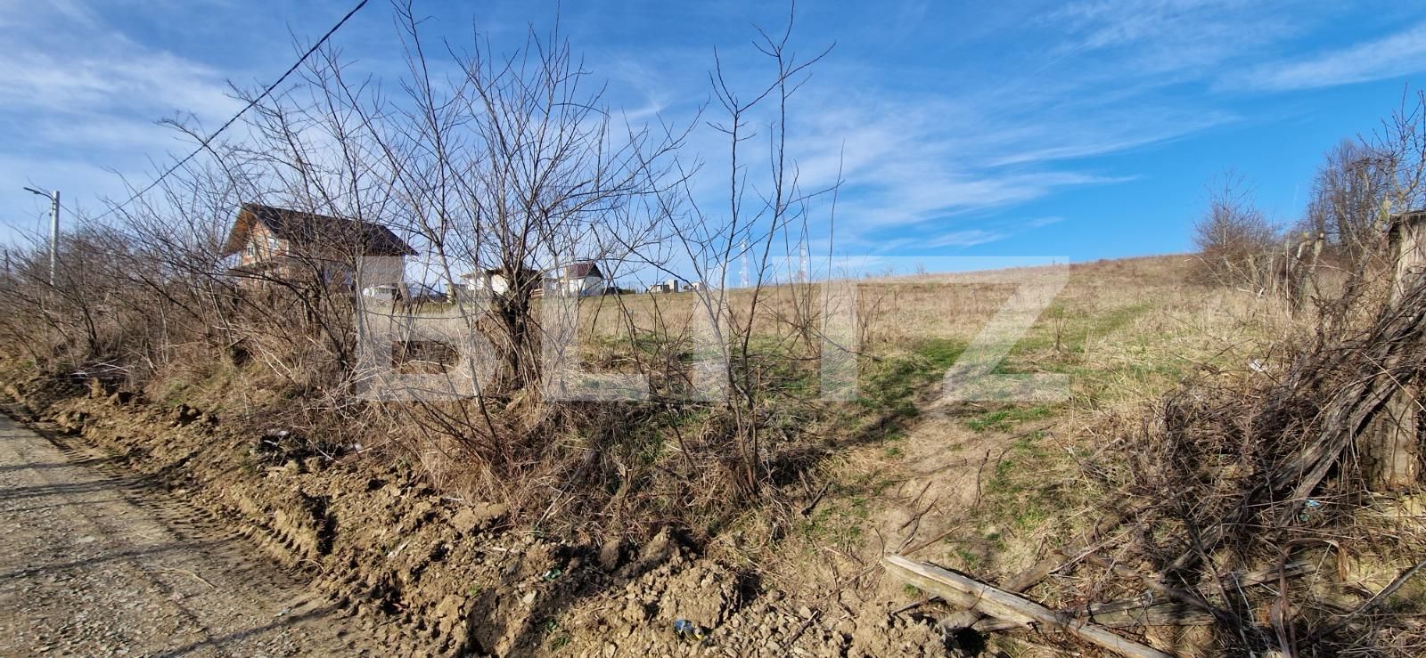 Teren de vânzare Sud-Est - 111483TV | BLITZ Iași | Poza3