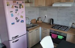 Apartament 1 camera, 40mp, Bucium