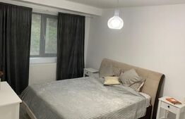 Apartament 1 camera, 40mp, Bucium