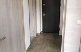 Apartament 1 camera, 40mp, Bucium