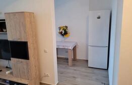 Garsoniera, 42mp, Lazar Residence