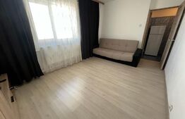 Apartament de 1 camera, Gradinari