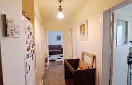 Apartament de 2 camere, etaj intermediar, Tudor Vladimirescu