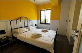 Apartament de 2 camere, semidecomandat, 49mp, zona Valea Lupului