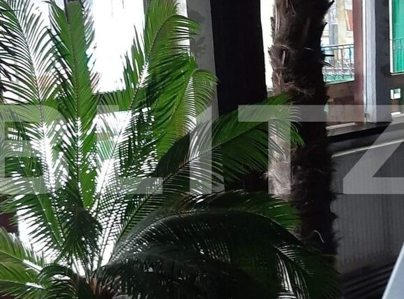 Teren de vânzare Bucium - 111619TV | BLITZ Iași | Poza16