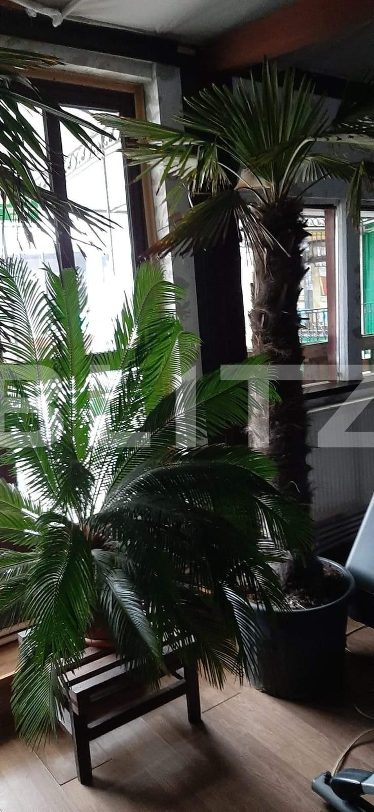 Teren de vânzare Bucium - 111619TV | BLITZ Iași | Poza16