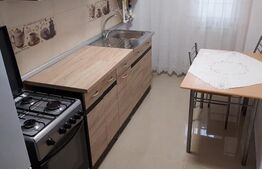 Apartament 2 camere, decomandat, 55mp, Valea Lupului