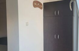 Garsoniera la vila, decomandat, zona Tudor Vladimirescu 