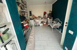 Apartament de 2 camere, zona Alexandru cel Bun