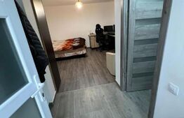 Garsonieră, decomandată, 30mp, zona Copou