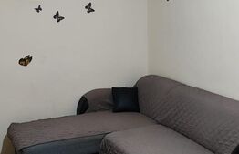 Apartament de 2 camere, semidecomandat, 33mp, zona Cantemir