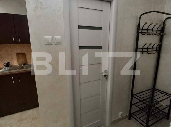 Garsonieră de închiriat Central - 112307AI | BLITZ Iași | Poza3