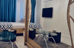 Apartament 1 camera, decomandat, Copou