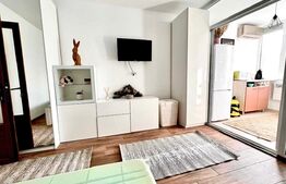 Apartament 1 camera, 34mp, Tatarasi