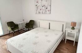 Apartament 1 camera, 34mp, Tatarasi