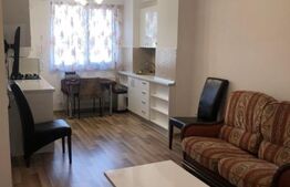 Apartament  2 camere, Pacurari
