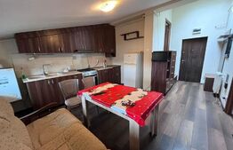Apartament de 2 camere, semidecomandat, 45mp, zona Tatarasi