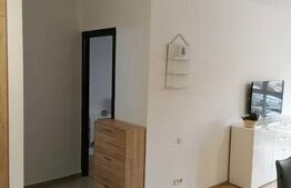 Apartament de 2 camere, semidecomandat, 45mp, zona Tatarasi