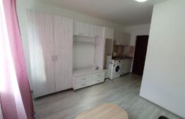 Garsoniera, 17mp, zona Frumoasa 