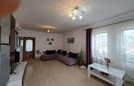 Casa plan parter, 950 mp de teren, zona Dancu