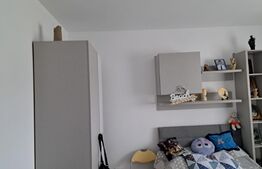 Casa plan parter, 950 mp de teren, zona Dancu