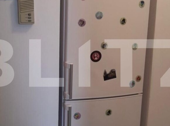 Apartament de închiriat 2 camere Tudor Vladimirescu - 112587AI | BLITZ Iași | Poza3