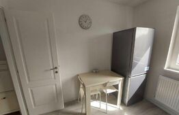 Apartament de 1 camera, decomandat, 38mp, zona Frumoasa 