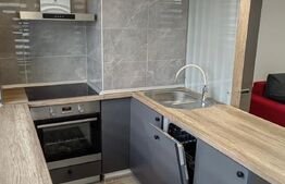 Apartament 2 camere, 54mp, semidecomandat, Zona Garii