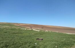 Teren 3600 mp, la DE 85, iesire Letcani, utilitati aproape