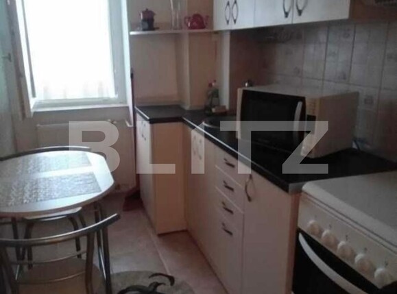 Garsonieră de închiriat Tatarasi - 113051AI | BLITZ Iași | Poza6